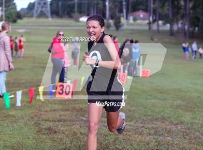 Thumbnail 2 in Onslow County Cross Country Meet photogallery.
