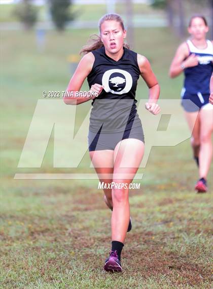 Thumbnail 3 in Onslow County Cross Country Meet photogallery.