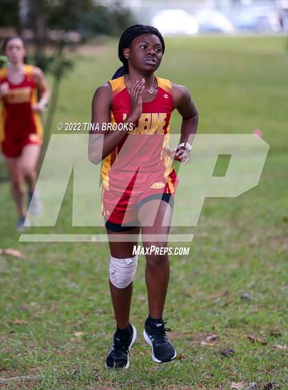 Thumbnail 3 in Onslow County Cross Country Meet photogallery.