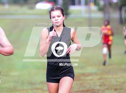 Thumbnail 3 in Onslow County Cross Country Meet photogallery.