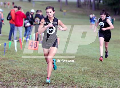 Thumbnail 3 in Onslow County Cross Country Meet photogallery.