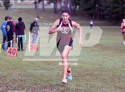 Thumbnail 2 in Onslow County Cross Country Meet photogallery.