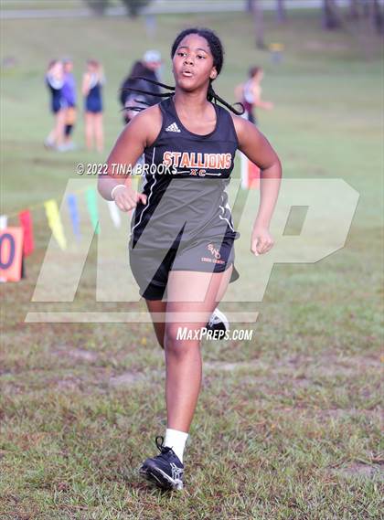 Thumbnail 3 in Onslow County Cross Country Meet photogallery.