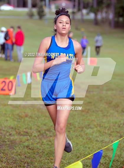 Thumbnail 3 in Onslow County Cross Country Meet photogallery.