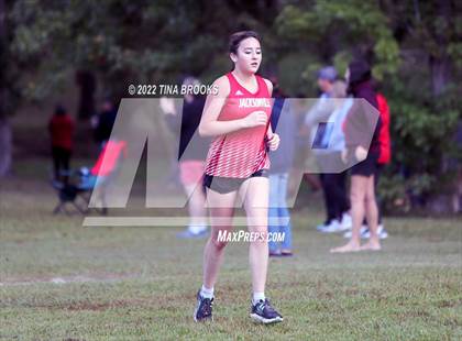 Thumbnail 3 in Onslow County Cross Country Meet photogallery.