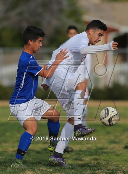 Thumbnail 1 in Poly @ Arleta photogallery.