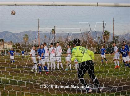 Thumbnail 3 in Poly @ Arleta photogallery.