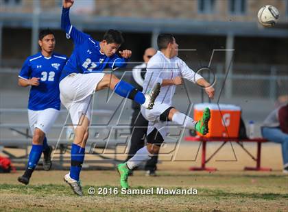 Thumbnail 2 in Poly @ Arleta photogallery.