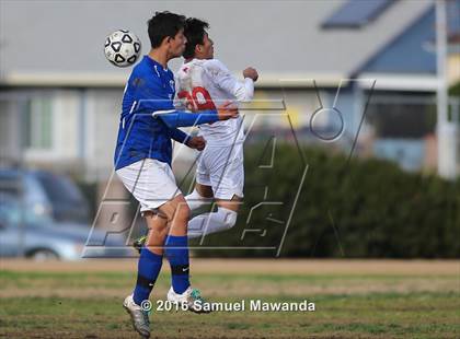 Thumbnail 3 in Poly @ Arleta photogallery.