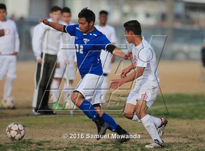 Thumbnail 2 in Poly @ Arleta photogallery.