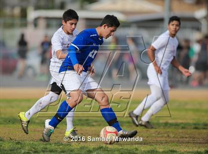 Thumbnail 1 in Poly @ Arleta photogallery.