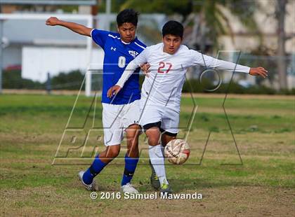 Thumbnail 3 in Poly @ Arleta photogallery.