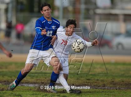 Thumbnail 2 in Poly @ Arleta photogallery.
