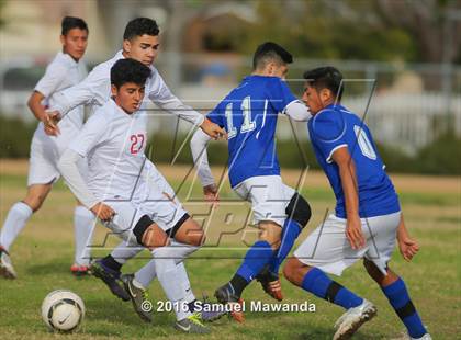 Thumbnail 3 in Poly @ Arleta photogallery.