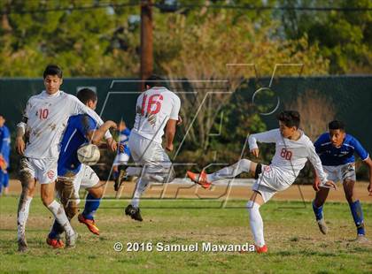 Thumbnail 3 in Poly @ Arleta photogallery.