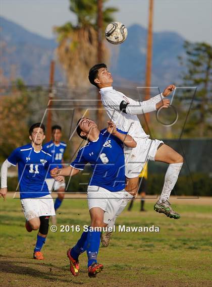 Thumbnail 2 in Poly @ Arleta photogallery.