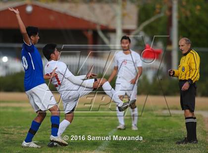 Thumbnail 3 in Poly @ Arleta photogallery.