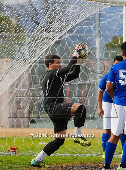 Thumbnail 2 in Poly @ Arleta photogallery.