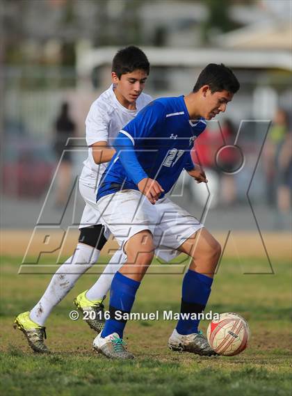 Thumbnail 3 in Poly @ Arleta photogallery.