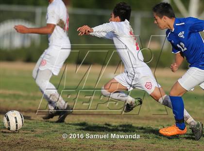 Thumbnail 3 in Poly @ Arleta photogallery.