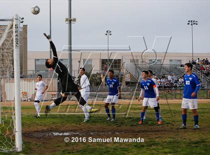 Thumbnail 1 in Poly @ Arleta photogallery.