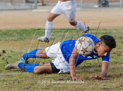 Thumbnail 3 in Poly @ Arleta photogallery.