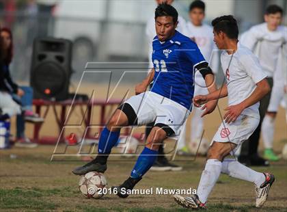 Thumbnail 3 in Poly @ Arleta photogallery.