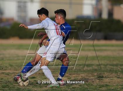 Thumbnail 1 in Poly @ Arleta photogallery.