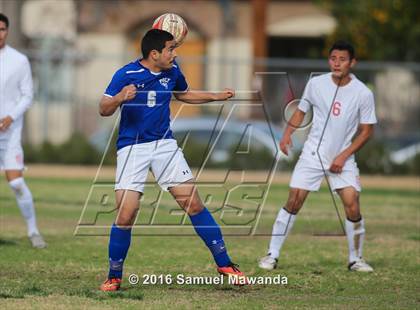 Thumbnail 2 in Poly @ Arleta photogallery.