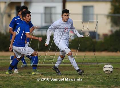 Thumbnail 1 in Poly @ Arleta photogallery.