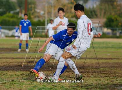 Thumbnail 2 in Poly @ Arleta photogallery.