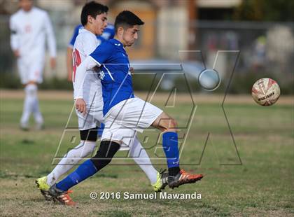 Thumbnail 3 in Poly @ Arleta photogallery.