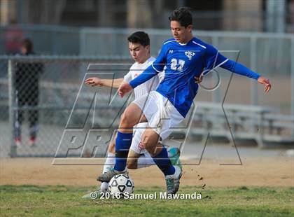 Thumbnail 1 in Poly @ Arleta photogallery.