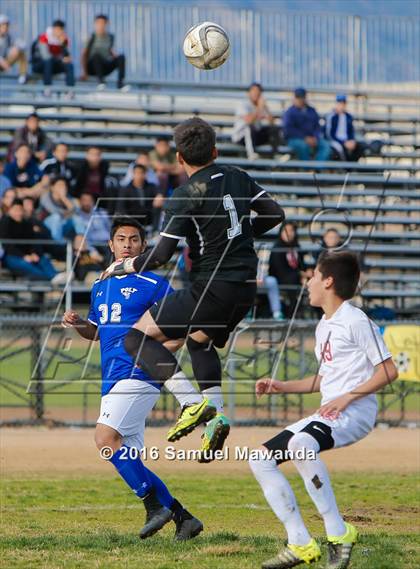 Thumbnail 3 in Poly @ Arleta photogallery.