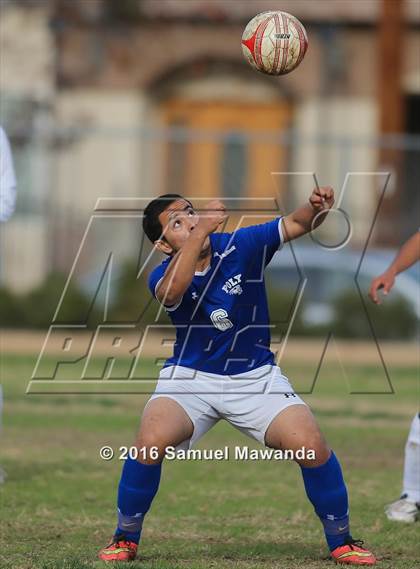 Thumbnail 1 in Poly @ Arleta photogallery.