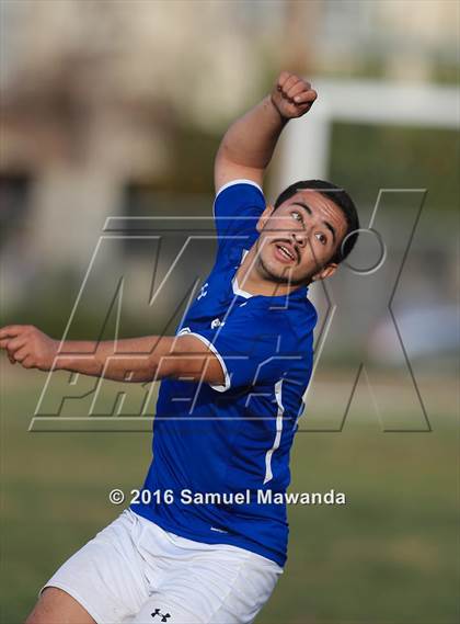 Thumbnail 2 in Poly @ Arleta photogallery.