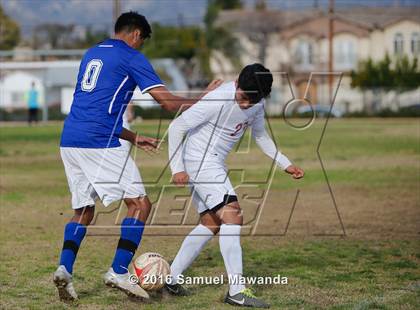 Thumbnail 2 in Poly @ Arleta photogallery.