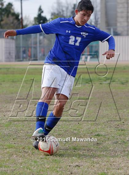 Thumbnail 2 in Poly @ Arleta photogallery.