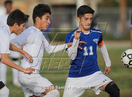 Thumbnail 1 in Poly @ Arleta photogallery.