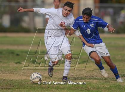 Thumbnail 2 in Poly @ Arleta photogallery.