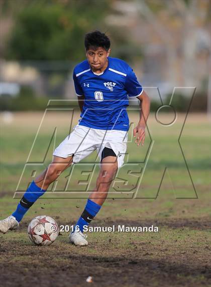 Thumbnail 1 in Poly @ Arleta photogallery.