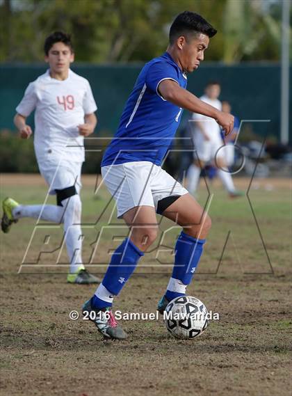 Thumbnail 1 in Poly @ Arleta photogallery.