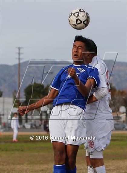 Thumbnail 1 in Poly @ Arleta photogallery.