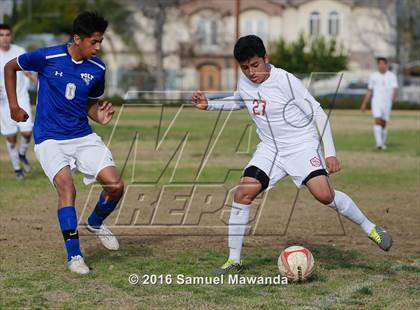 Thumbnail 3 in Poly @ Arleta photogallery.