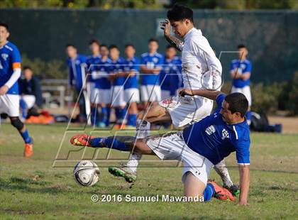 Thumbnail 1 in Poly @ Arleta photogallery.