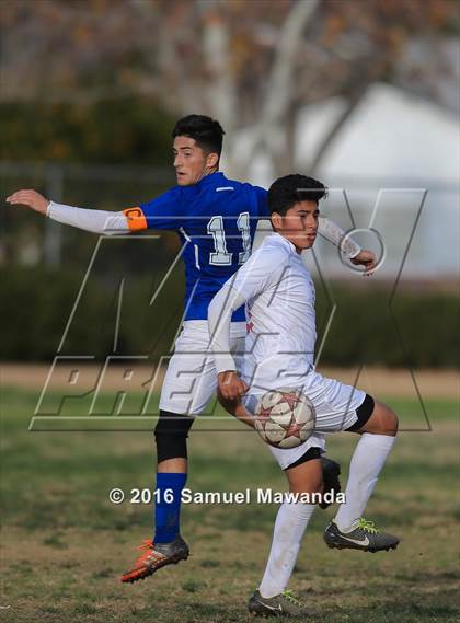 Thumbnail 2 in Poly @ Arleta photogallery.