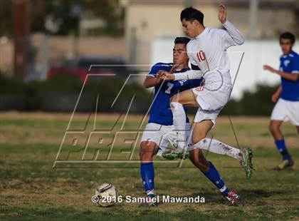Thumbnail 2 in Poly @ Arleta photogallery.