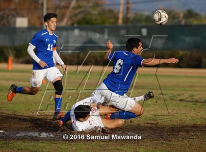 Thumbnail 3 in Poly @ Arleta photogallery.