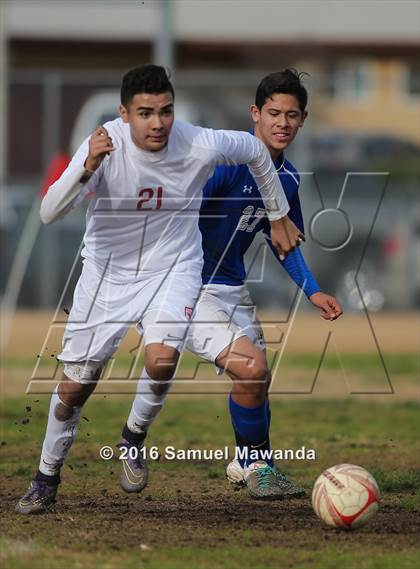 Thumbnail 3 in Poly @ Arleta photogallery.