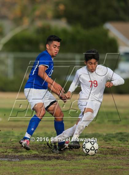 Thumbnail 1 in Poly @ Arleta photogallery.